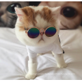 Kreisförmige Metallcute Pet Sonnenbrille für Haustierzubehör
